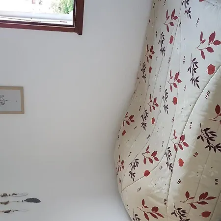 Climatise Avec Loggia Et Parking A 200m De La - Fr-1-338-442 Apartmán Sète