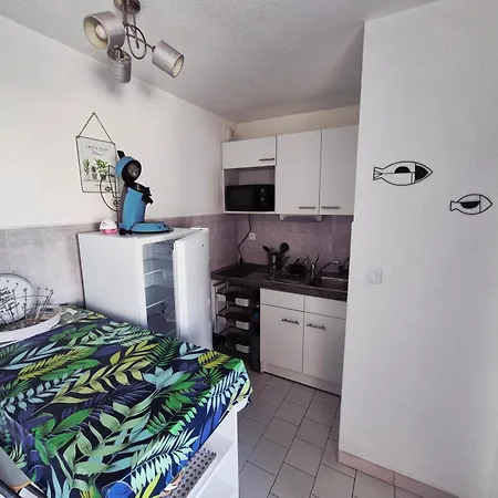 Climatisé Avec Loggia Et Parking à 200m De La - Fr-1-338-442 * Sète