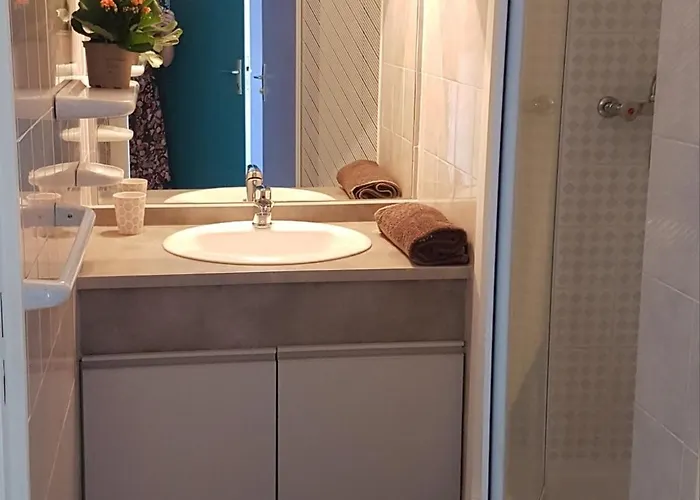 Apartamento Climatisé Avec Loggia Et Parking à 200m De La - Fr-1-338-442