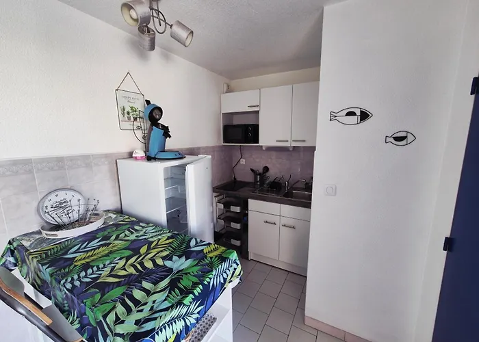 Climatisé Avec Loggia Et Parking à 200m De La - Fr-1-338-442 * Sète